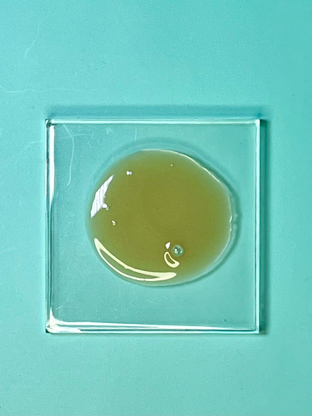 Black Honey Cleanser