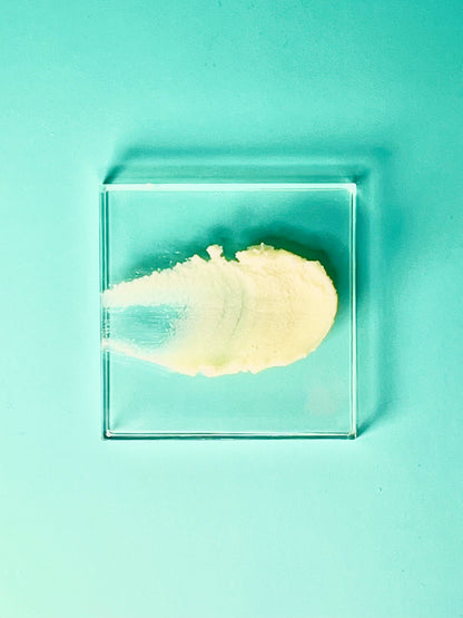 Grapeseed Shea Butter Moisturizer